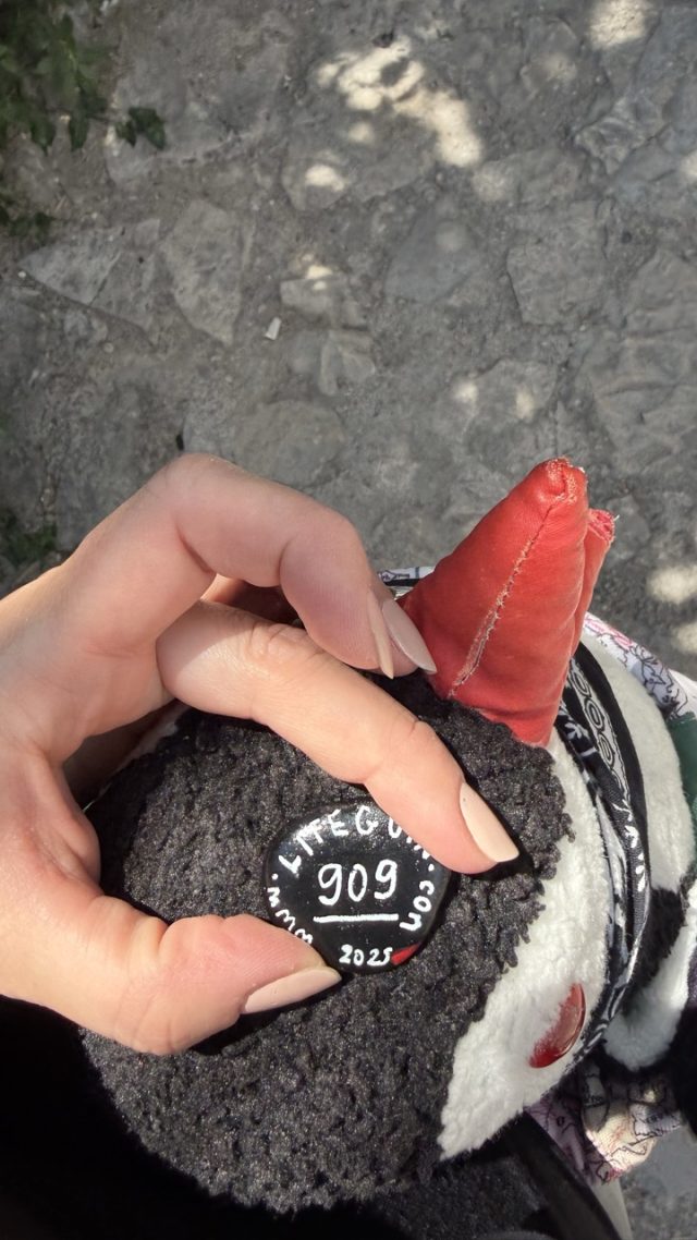 Hand-painted penguin stone #909 hidden at Stone Wall close to Crooked Bridge, Mostar, Bosnia and Herzegovina (photo 3 of 4)