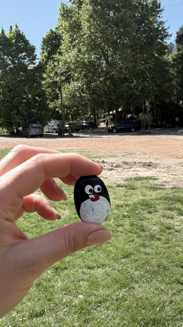 Hand-painted penguin stone #914 hidden at Tree, Kravica Waterfalls, Bosnia and Herzegovina (photo 2 of 5)