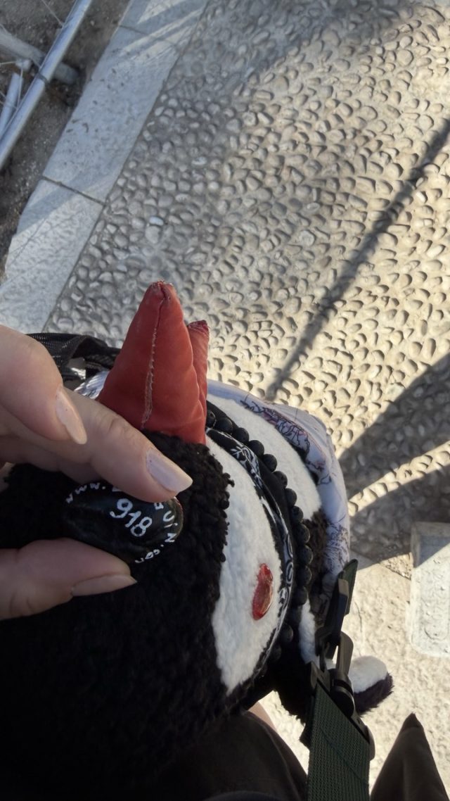 Hand-painted penguin stone #918 hidden at Fortress Imperial, Dubrovnik, Croatia (photo 3 of 5)