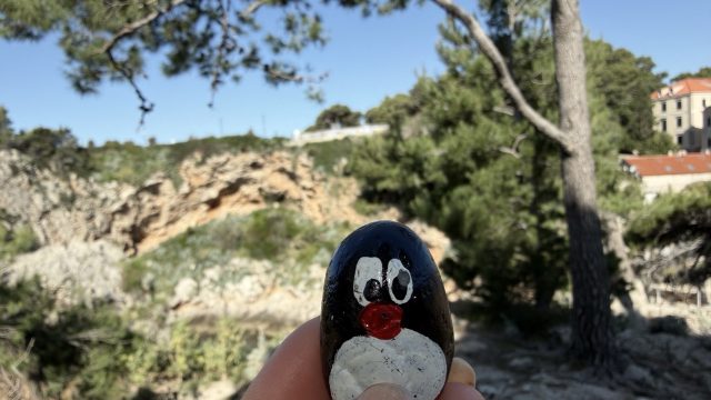 Hand-painted penguin stone #918 hidden at Fortress Imperial, Dubrovnik, Croatia (photo 4 of 5)