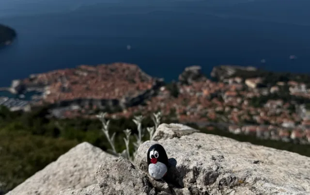Hand-painted penguin stone #918 hidden at Fortress Imperial, Dubrovnik, Croatia