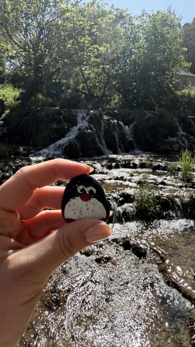 Hand-painted penguin stone #923 hidden at Mini waterfall, Kravica Waterfalls, Bosnia and Herzegovina (photo 3 of 5)
