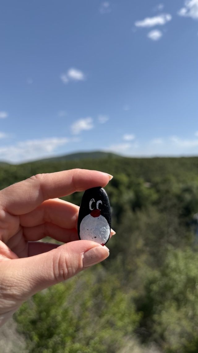 Hand-painted penguin stone #924 hidden at Parking lot, Kravica Waterfalls, Bosnia and Herzegovina (photo 2 of 5)