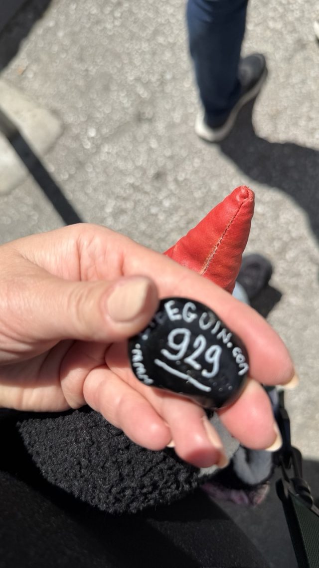 Hand-painted penguin stone #929 hidden at Franjevacka Crkva u Mostaru, Mostar, Bosnia and Herzegovina (photo 3 of 5)