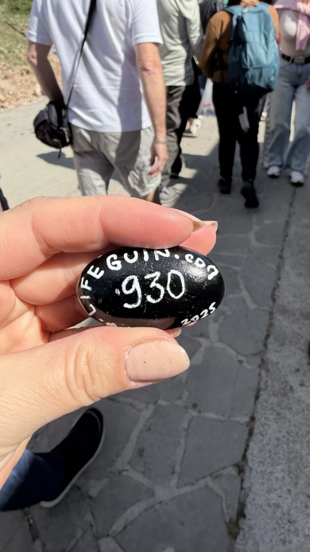 Hand-painted penguin stone #930 hidden at Stone at Kravica Waterfalls, Studenci, Bosnia and Herzegovina (photo 3 of 5)