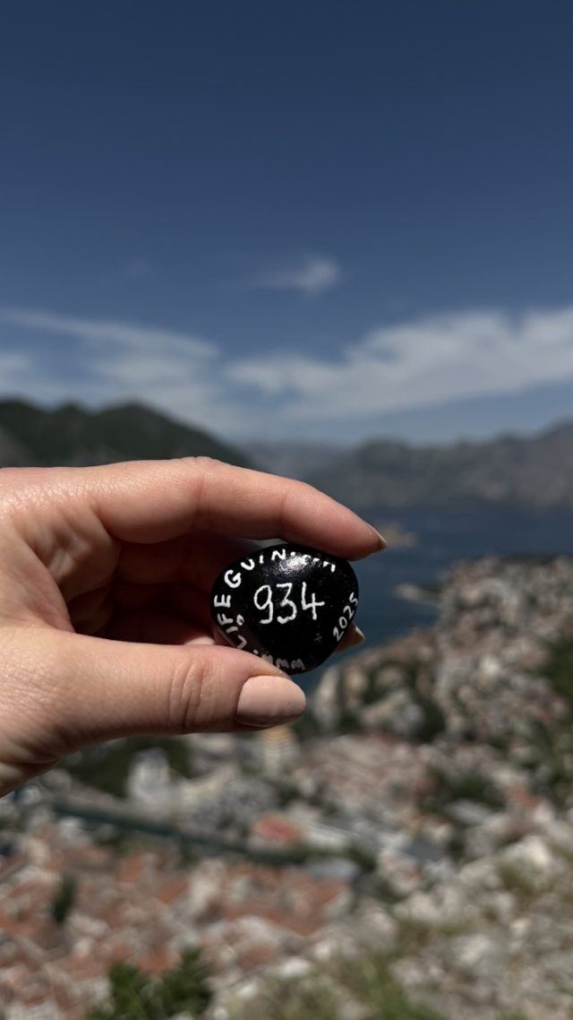 Hand-painted penguin stone #934 hidden at Kotor Bay Panorama, Kotor, Montenegro (photo 4 of 5)