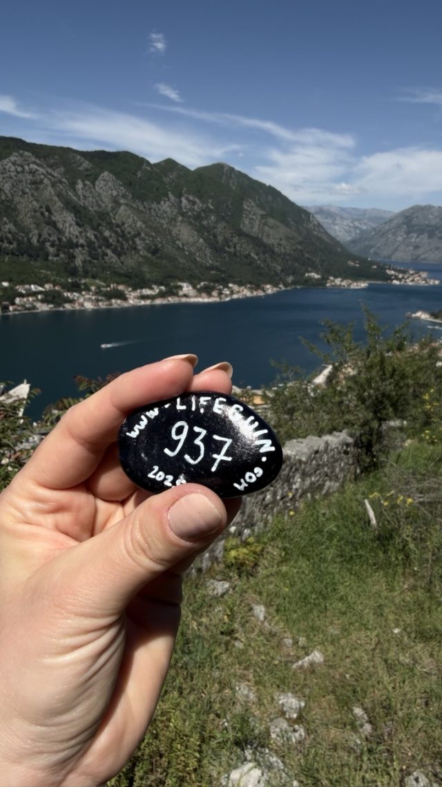 Hand-painted penguin stone #937 hidden at Observation Deck, Kotor, Montenegro (photo 2 of 4)