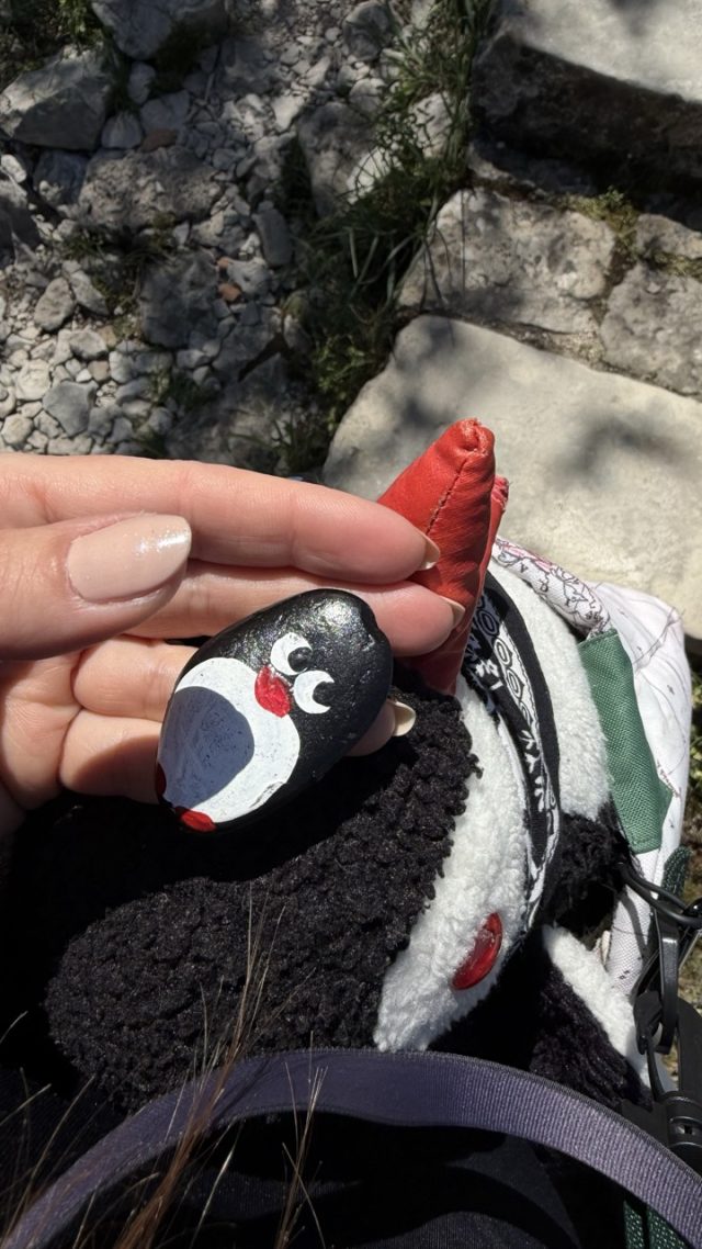 Hand-painted penguin stone #937 hidden at Observation Deck, Kotor, Montenegro (photo 3 of 4)