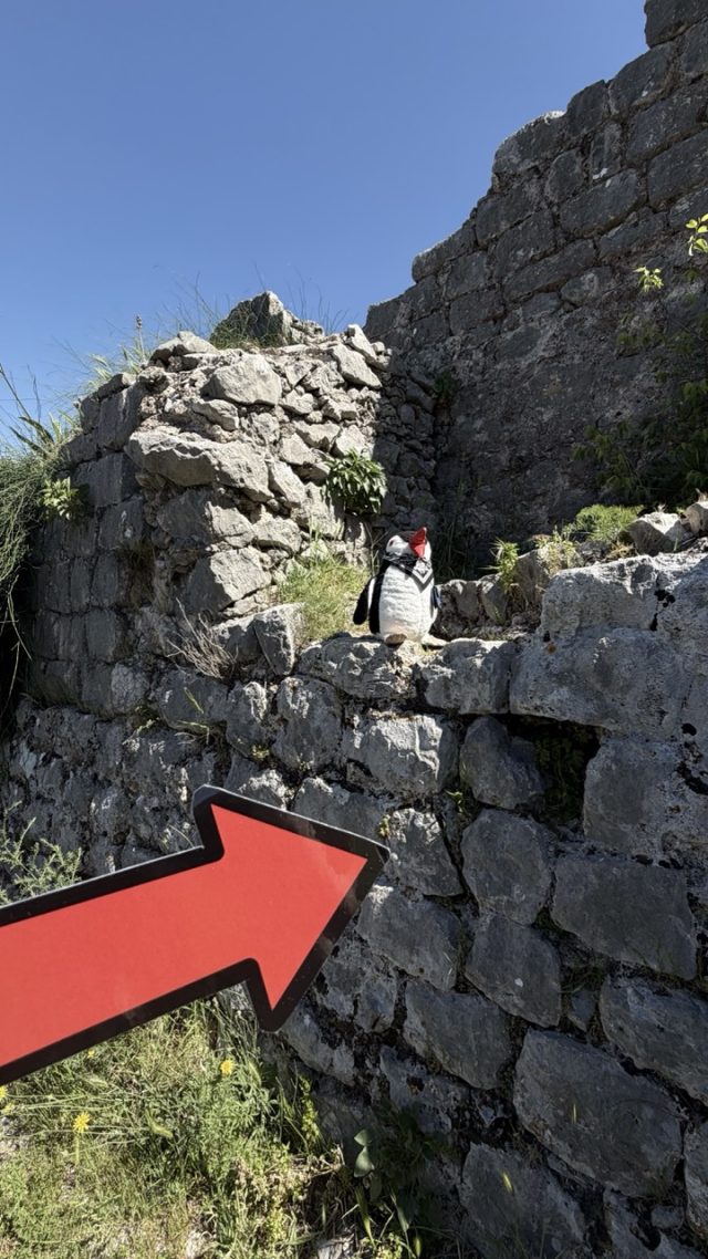 Hand-painted penguin stone #937 hidden at Observation Deck, Kotor, Montenegro (photo 4 of 4)