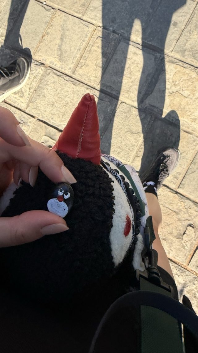 Hand-painted penguin stone #938 hidden at House Boninovo, Dubrovnik, Croatia (photo 3 of 5)