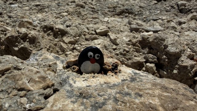Hand-painted penguin stone #941 hidden at Harbour Viewpoint, Dubrovnik, Croatia (photo 4 of 5)