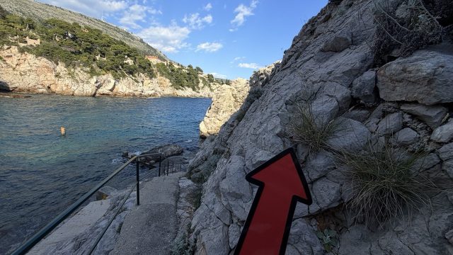 Hand-painted penguin stone #953 hidden at Bellevue Beach, Dubrovnik, Croatia (photo 5 of 5)