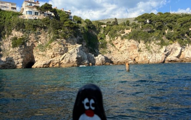 Hand-painted penguin stone #953 hidden at Bellevue Beach, Dubrovnik, Croatia