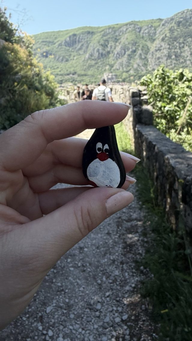 Hand-painted penguin stone #956 hidden at Entrance (II) to Fortress, Kotor, Montenegro (photo 2 of 5)