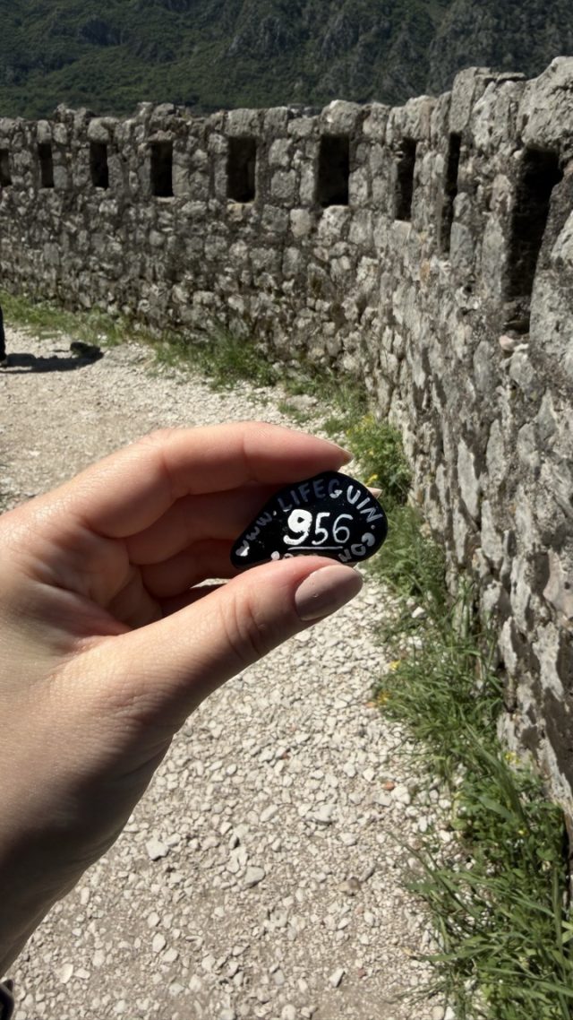 Hand-painted penguin stone #956 hidden at Entrance (II) to Fortress, Kotor, Montenegro (photo 3 of 5)