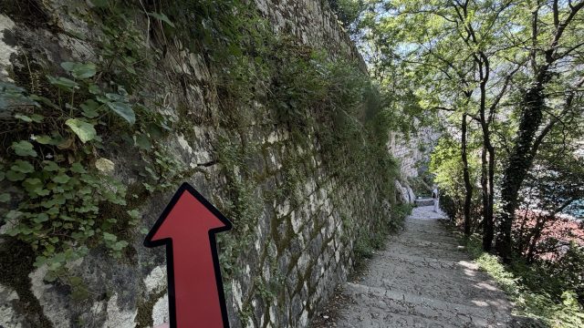 Hand-painted penguin stone #956 hidden at Entrance (II) to Fortress, Kotor, Montenegro (photo 4 of 5)