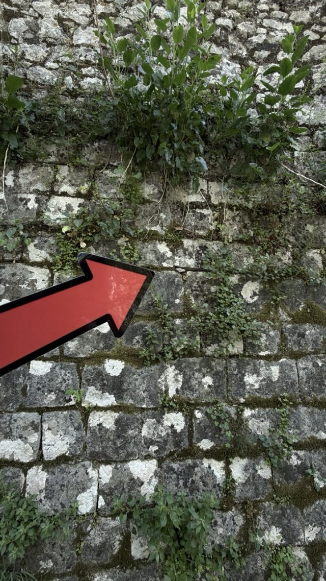 Hand-painted penguin stone #956 hidden at Entrance (II) to Fortress, Kotor, Montenegro (photo 5 of 5)