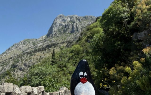 Hand-painted penguin stone #956 hidden at Entrance (II) to Fortress, Kotor, Montenegro