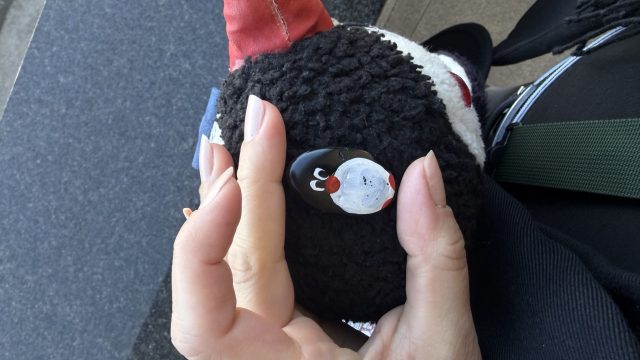 Hand-painted penguin stone #971 hidden at Hotel Jadran, Neum, Bosnia and Herzegovina (photo 2 of 5)
