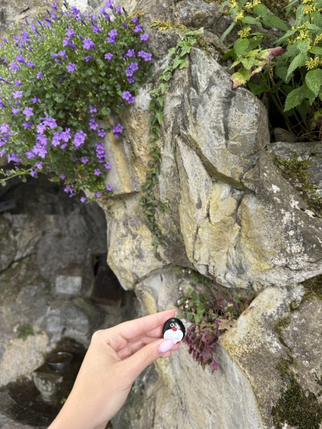 Hand-painted penguin stone #975 hidden at Lago di Como, Como, Italy (photo 3 of 5)