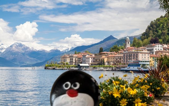Hand-painted penguin stone #975 hidden at Lago di Como, Como, Italy
