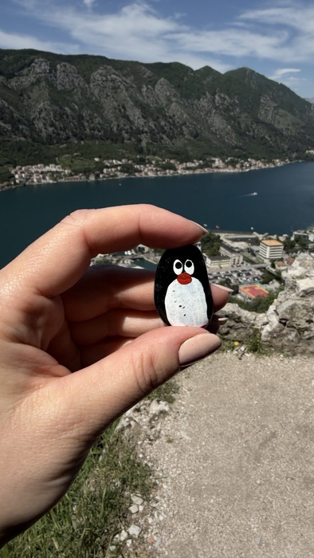 Hand-painted penguin stone #976 hidden at Old Town Road, Kotor, Montenegro (photo 2 of 5)