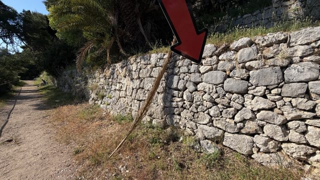 Hand-painted penguin stone #979 hidden at Stone Wall close to the stairs, Dubrovnik, Croatia (photo 4 of 5)
