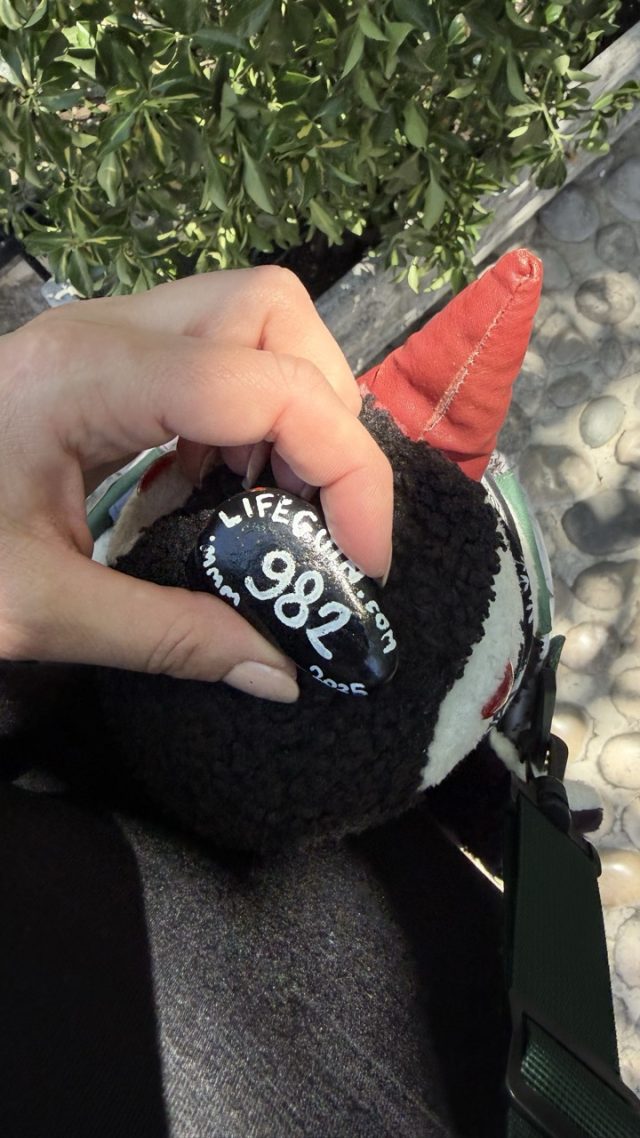 Hand-painted penguin stone #982 hidden at Stone Wall, Mostar, Bosnia and Herzegovina (photo 3 of 5)