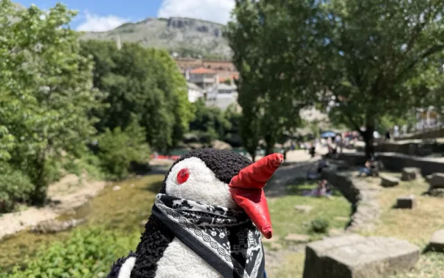 Ručne maľovaný tučniakový kameň č. 982 ukrytý na mieste Stone Wall, Mostar, Bosna a Hercegovina