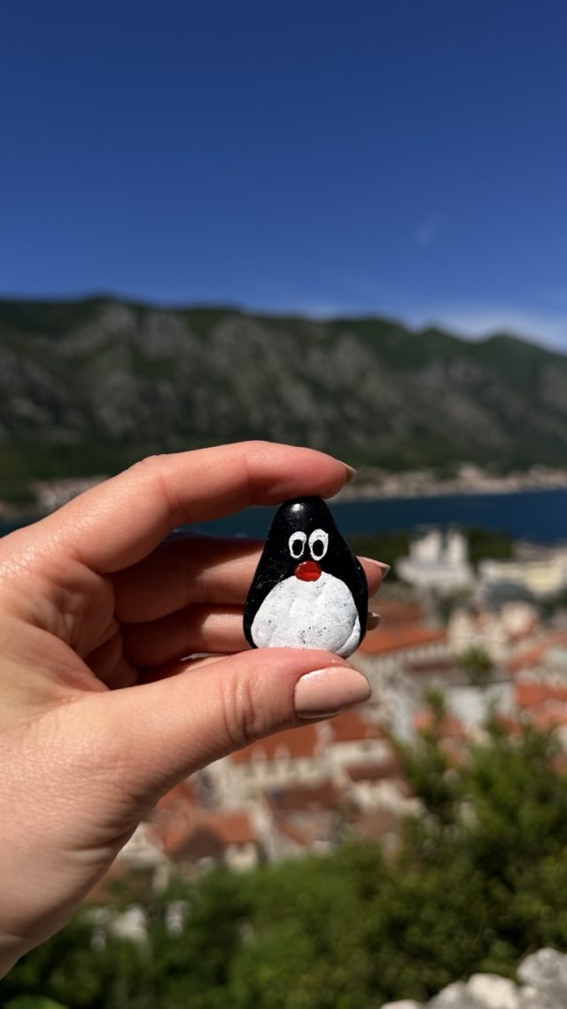 Hand-painted penguin stone #987 hidden at Small Chapel, Kotor, Montenegro (photo 3 of 5)