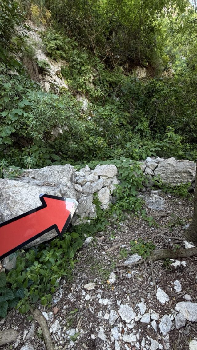 Hand-painted penguin stone #987 hidden at Small Chapel, Kotor, Montenegro (photo 5 of 5)