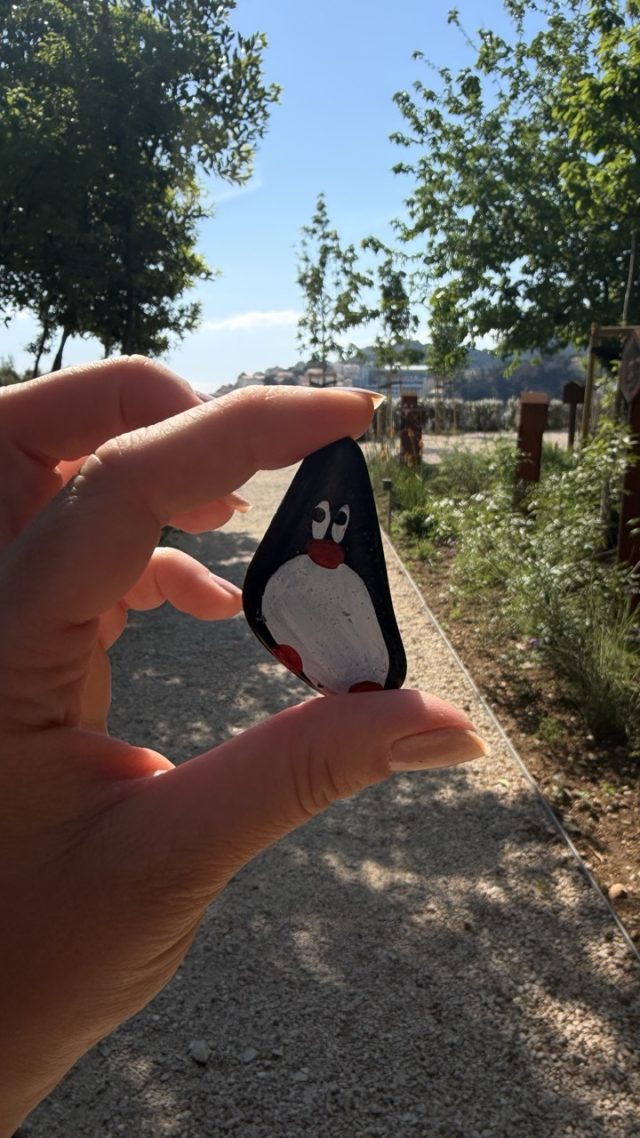 Hand-painted penguin stone #990 hidden at Old Stairs, Dubrovnik, Croatia (photo 3 of 5)