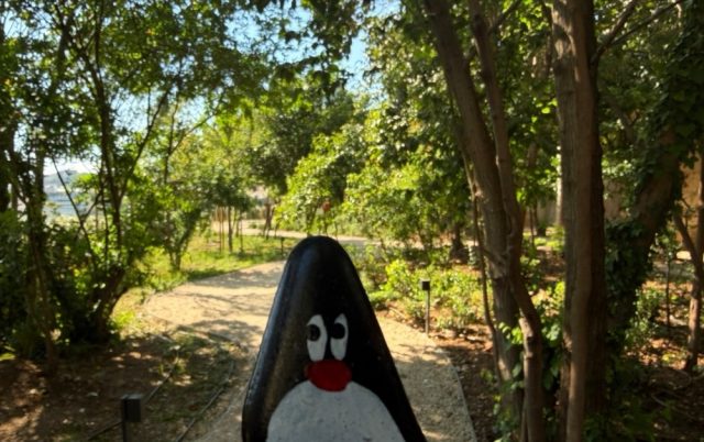 Hand-painted penguin stone #990 hidden at Old Stairs, Dubrovnik, Croatia