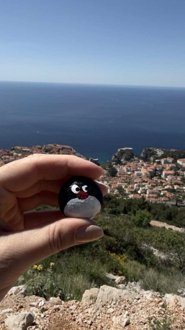 Hand-painted penguin stone #992 hidden at Dubrovnik Stations of the Cross X, Dubrovnik, Croatia (photo 3 of 5)