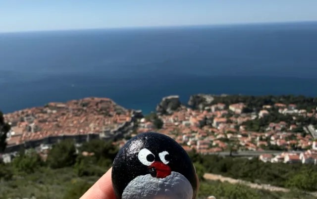 Hand-painted penguin stone #992 hidden at Dubrovnik Stations of the Cross X, Dubrovnik, Croatia