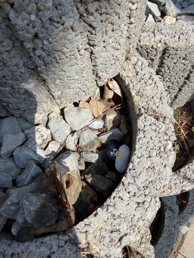 Hand-painted penguin stone #1075 hidden at Rezort Jedlovnik, Vysoka nad Kysucou, Slovakia (photo 3 of 5)