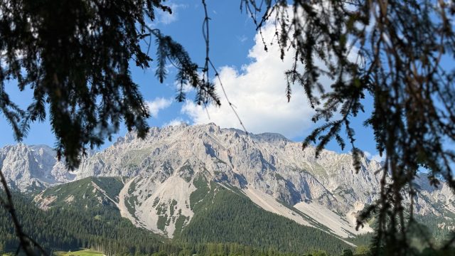 Hand-painted penguin stone #1083 hidden at Tree at Ramsau Beach, Ramsau am Dachstein, Austria (photo 4 of 5)