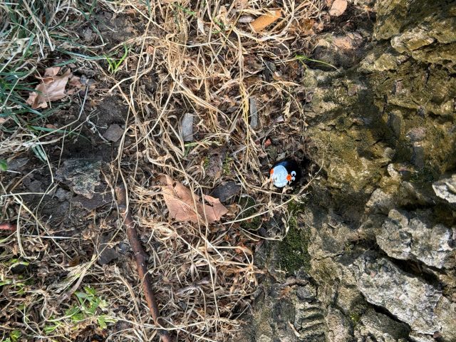 Hand-painted penguin stone #1100 hidden at Mahmut Han Park, Beyoglu, Turkiye (photo 4 of 5)