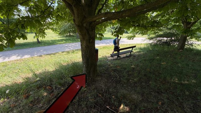 Hand-painted penguin stone #1105 hidden at Tree with Bench, Berg, Austria (photo 4 of 5)