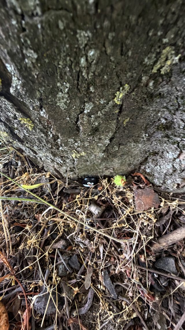 Hand-painted penguin stone #1105 hidden at Tree with Bench, Berg, Austria (photo 5 of 5)