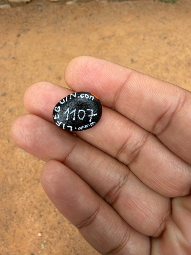 Hand-painted penguin stone #1107 hidden at VET College Ground, Bengaluru, India (photo 2 of 5)