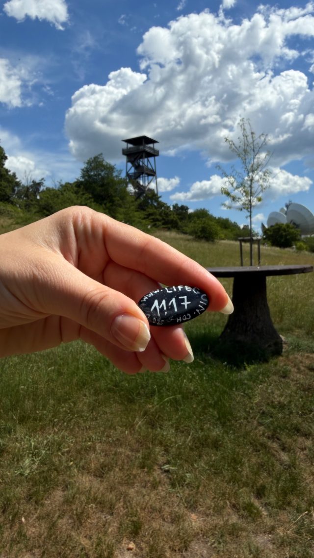 Hand-painted penguin stone #1117 hidden at Konigswarte Lookout Tower, Berg, Austria (photo 2 of 4)