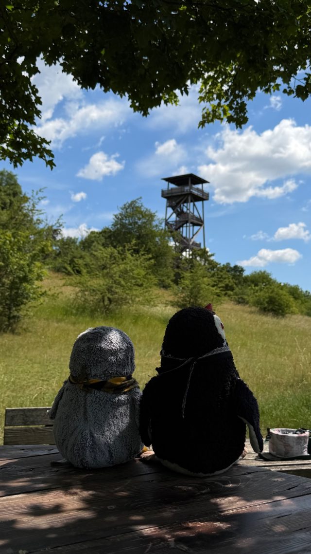 Hand-painted penguin stone #1117 hidden at Konigswarte Lookout Tower, Berg, Austria (photo 4 of 4)