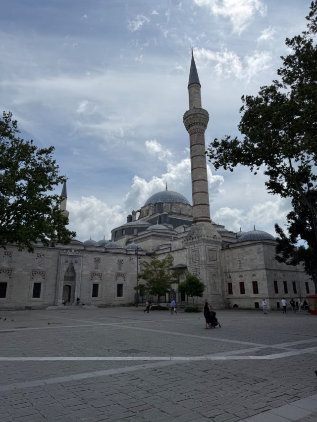 Hand-painted penguin stone #1143 hidden at Outside the Beyazit Mosque and Istanbul university, Istanbul, Turkiye (photo 3 of 5)