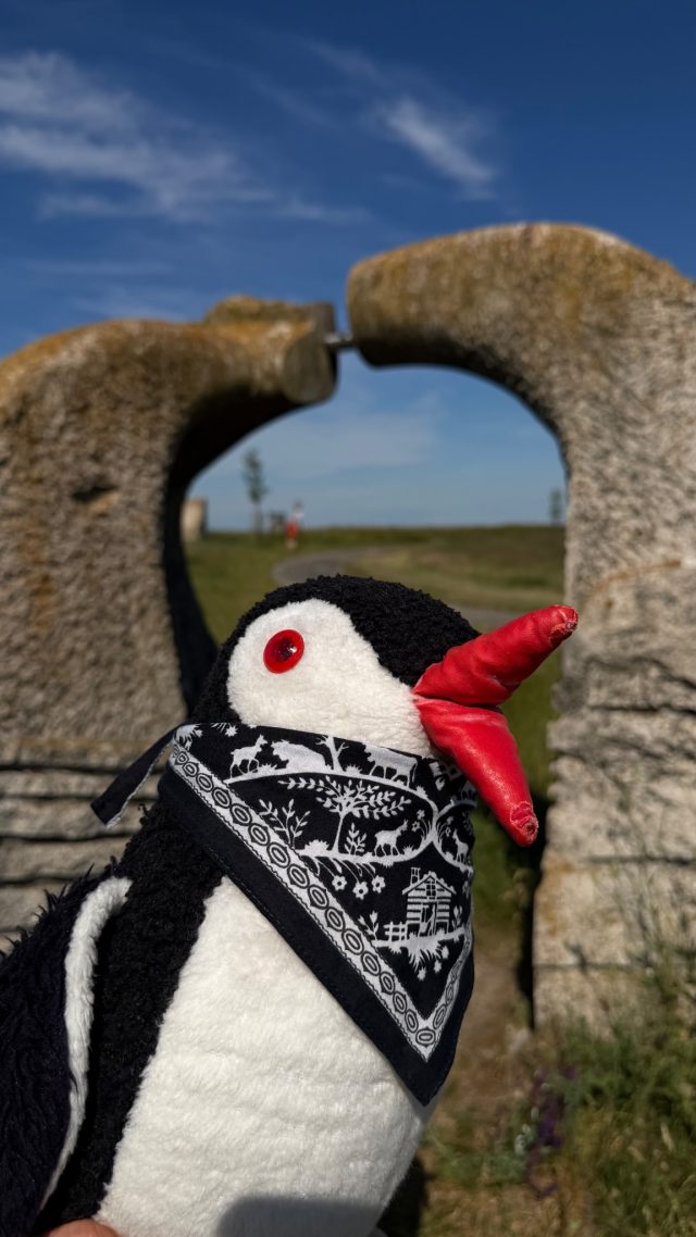 Hand-painted penguin stone #1146 hidden at Stone Statue, Rajka, Hungary (photo 2 of 5)