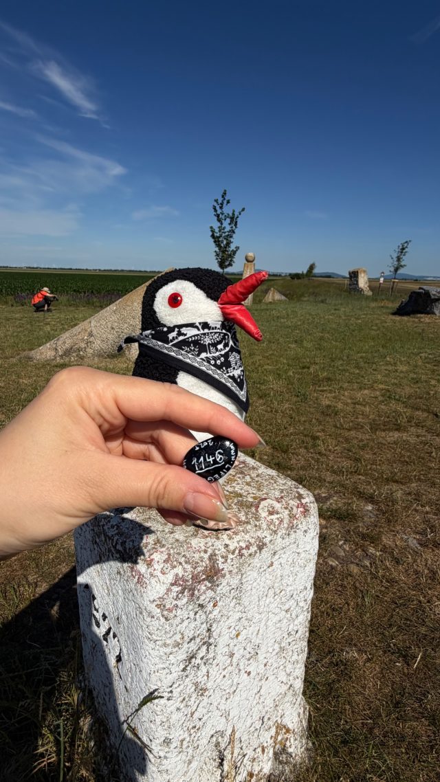 Hand-painted penguin stone #1146 hidden at Stone Statue, Rajka, Hungary (photo 4 of 5)