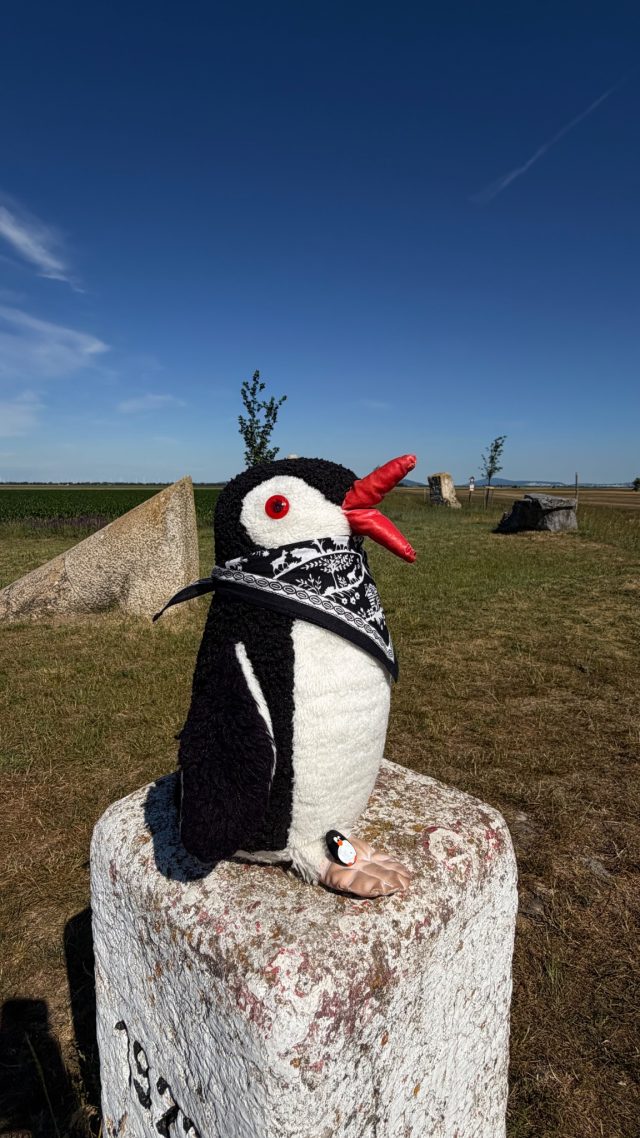 Hand-painted penguin stone #1146 hidden at Stone Statue, Rajka, Hungary (photo 5 of 5)