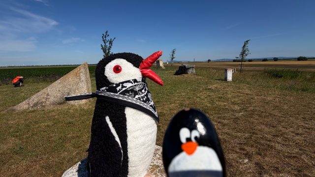 Hand-painted penguin stone #1146 hidden at Stone Statue, Rajka, Hungary
