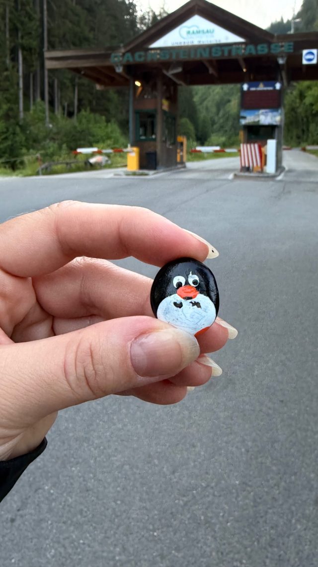 Hand-painted penguin stone #1152 hidden at Gloshof Sign, Ramsau am Dachstein, Austria (photo 5 of 5)
