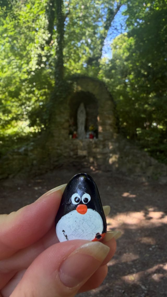 Hand-painted penguin stone #1153 hidden at Schlosspark Kittsee, Kittsee, Austria (photo 3 of 4)